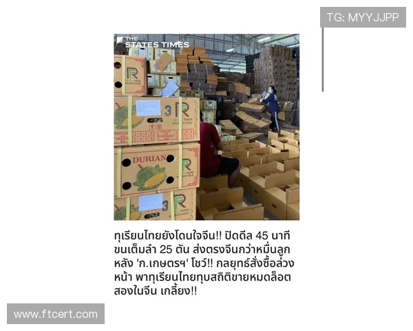 Lautaro 赞助商与品牌合作